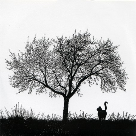 SP-001-455x455.jpg